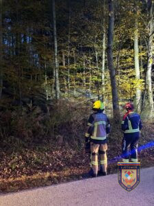 Požari v naravi oziroma na prostem 01.11.2025 16:35