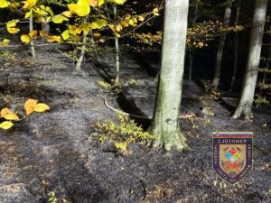 Požari v naravi oziroma na prostem 01.11.2025 16:35